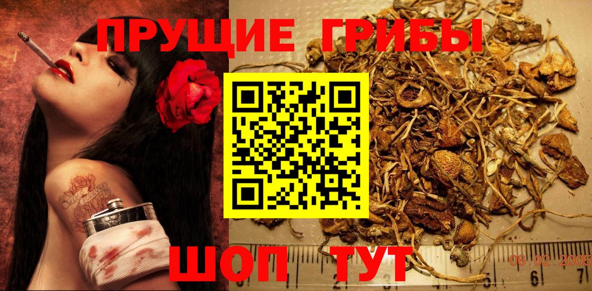 Сальск  Галлюциногенные грибы прущие грибы  купить наркотик  Вход с VPN 